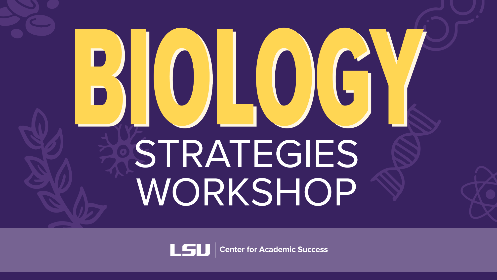 Biology Strategies Workshop