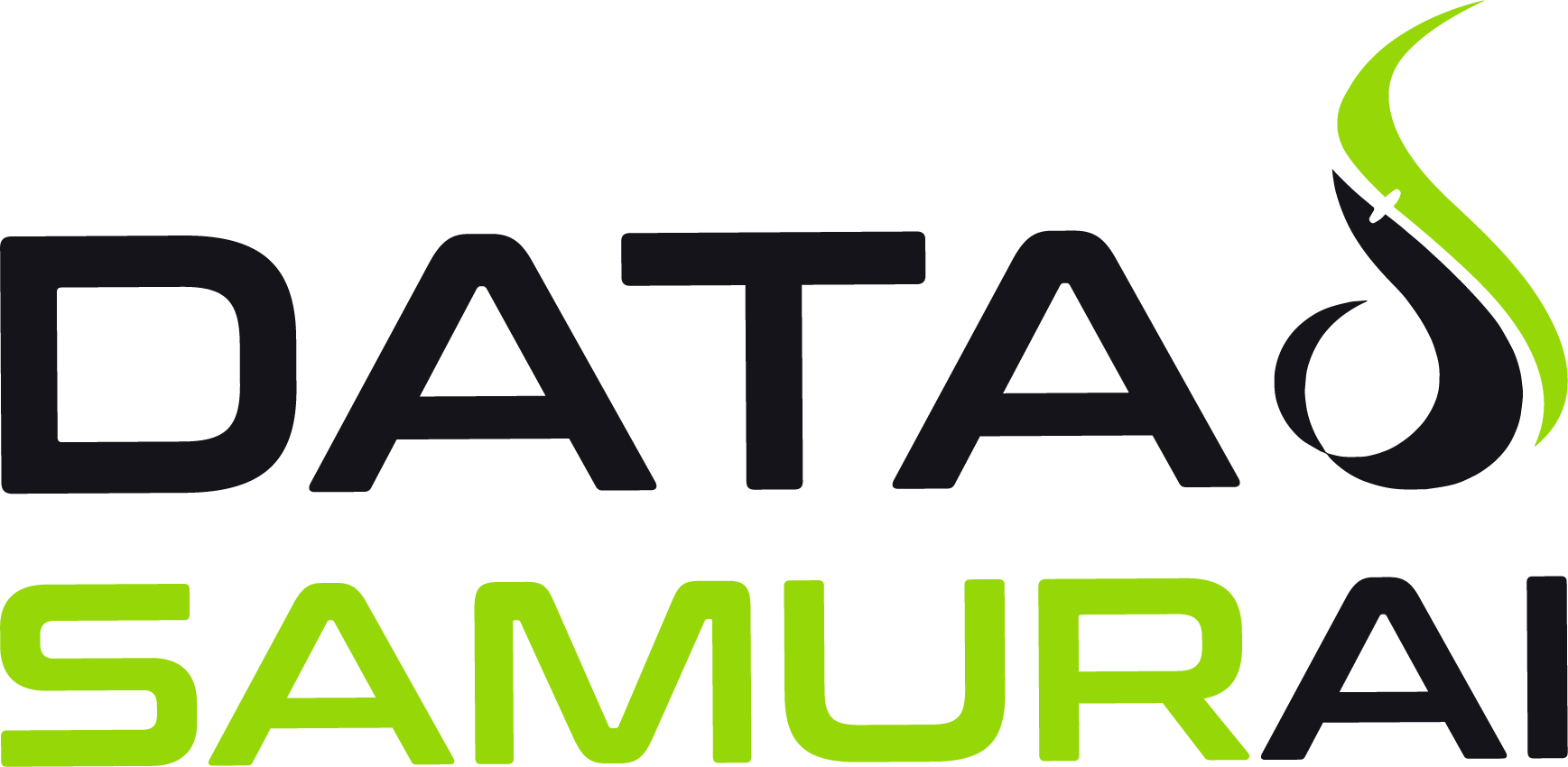 data samurai logo