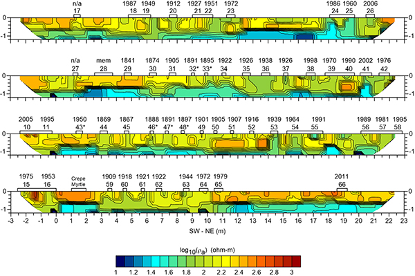Geophysical Electrical Profile