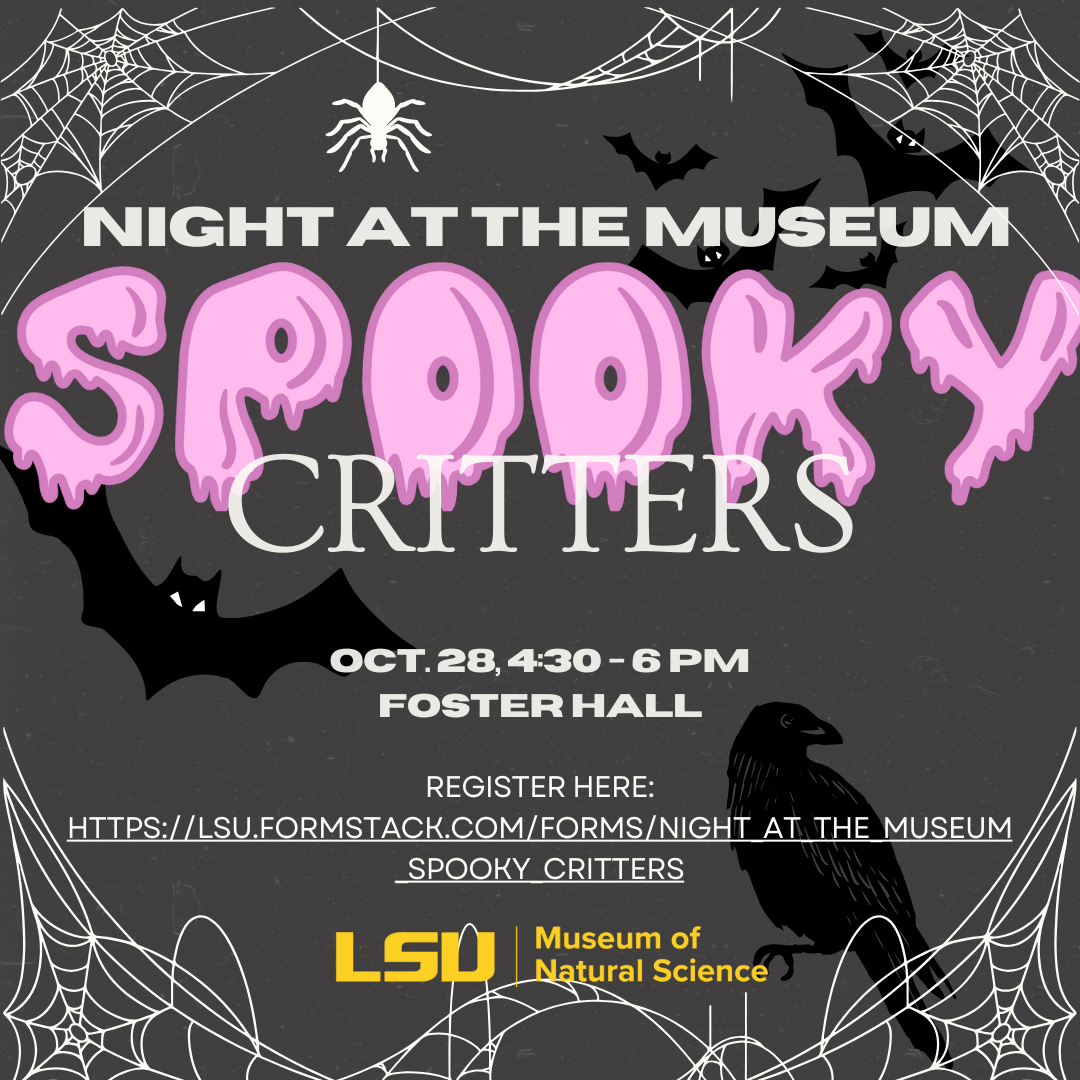 night at the museum flyer