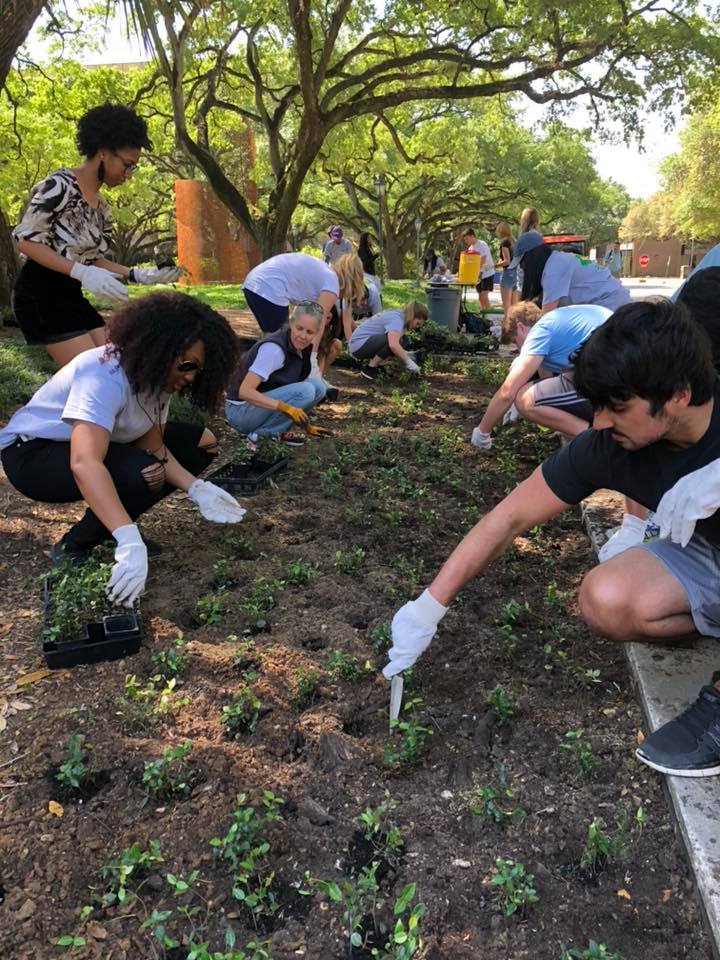 group of students planting flowers