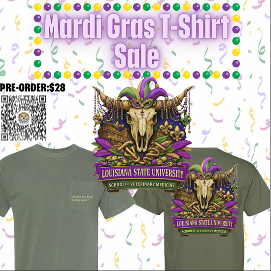 Mardi Gras shirt